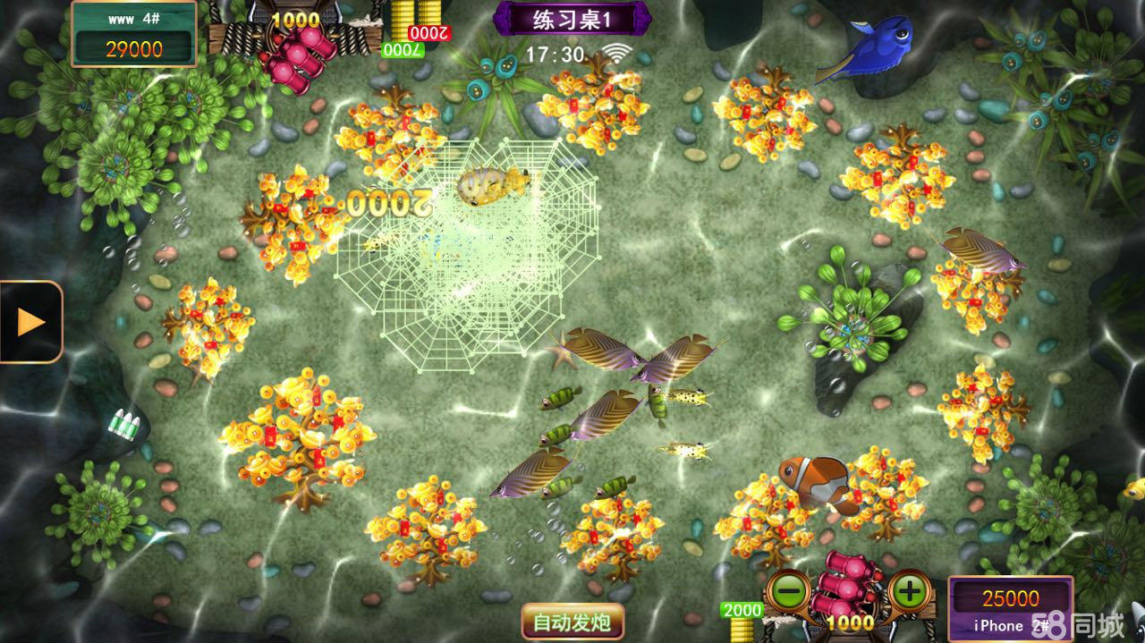 4.柳州星力童星收费吗?