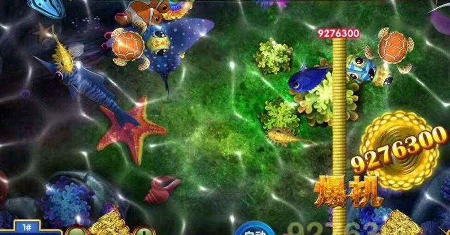 星力十代有挂吗？